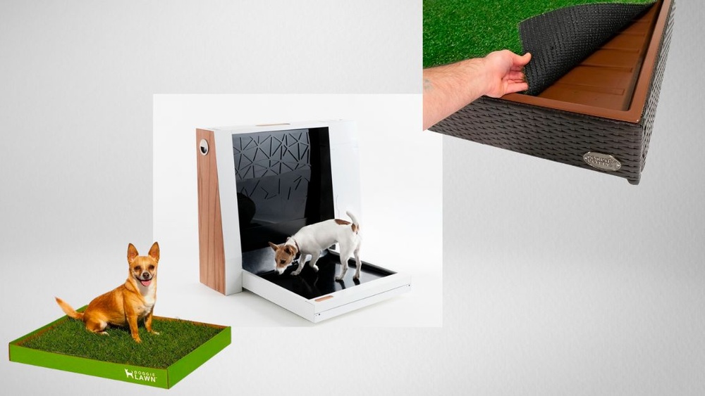 Best Indoor Dog Potty System