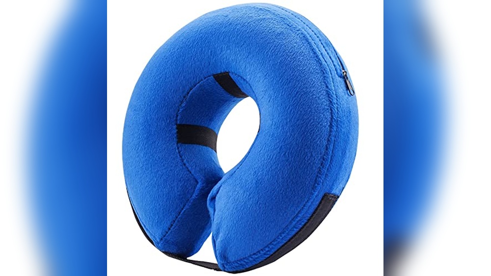 Best Inflatable Collar for Dogs