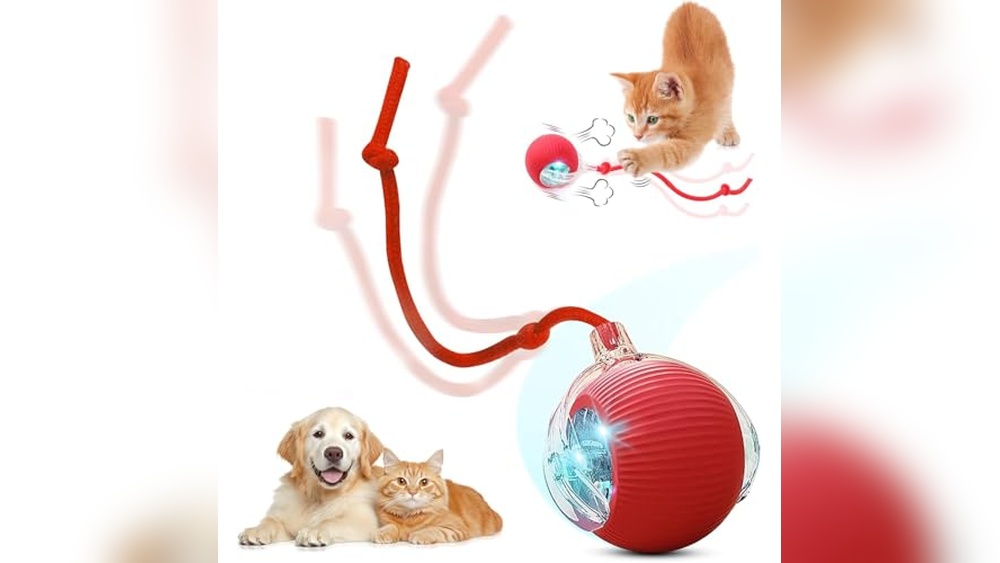 Best Interactive Dog Toys for Small Dogs
