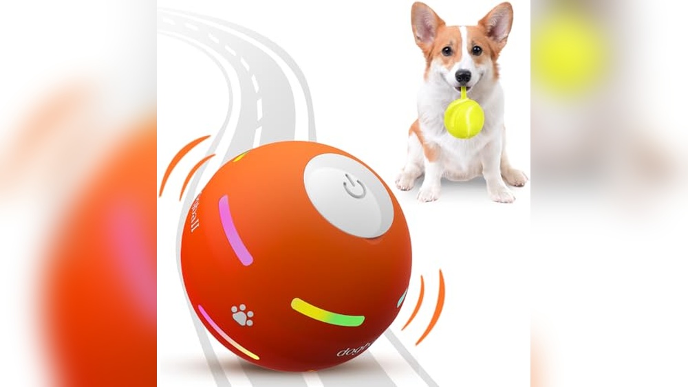 Best Interactive Toys for Small Dogs