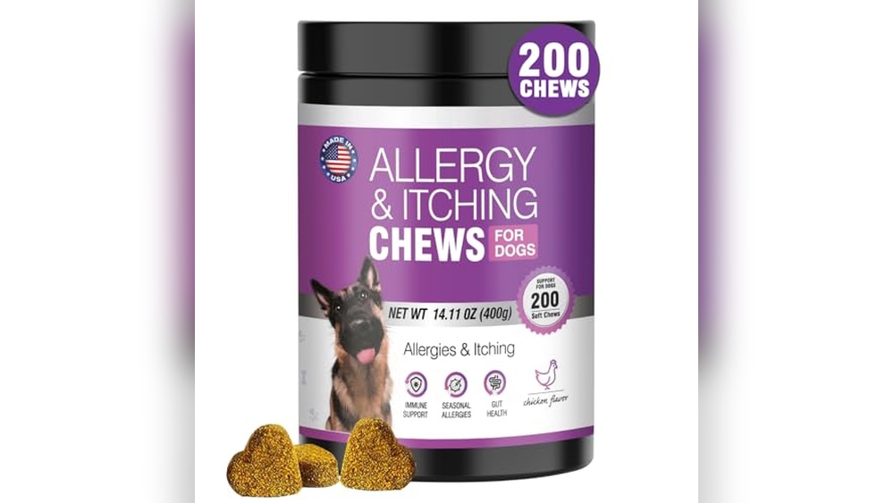 Best Itch Chews for Dogs