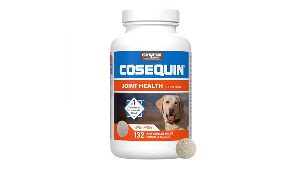 Best Joint Supplement for Dogs With Elbow Dysplasia