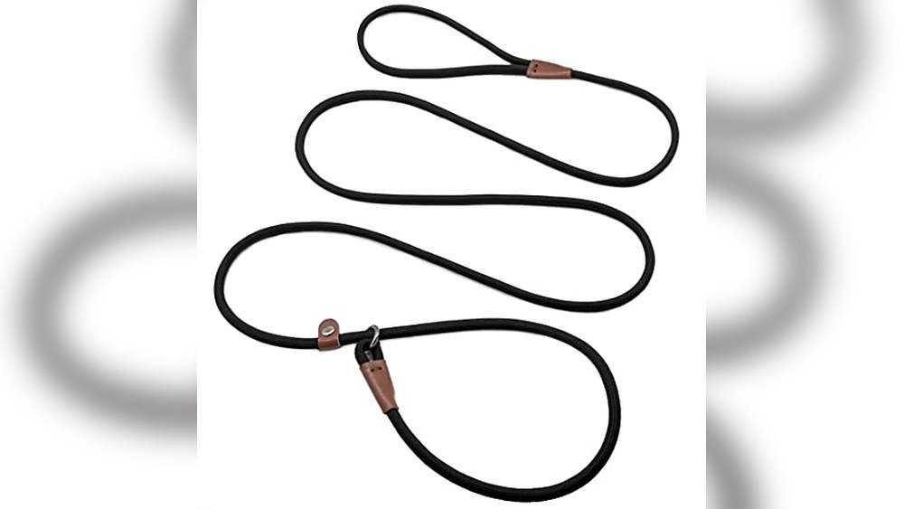 Best Knot for Dog Lead