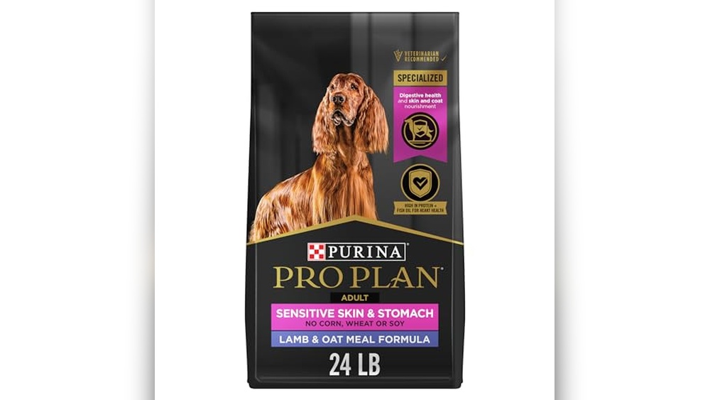 Best Lamb Dog Food for Sensitive Stomach