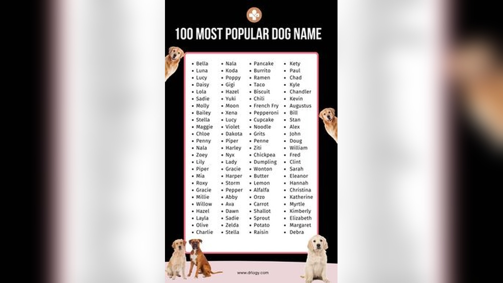 Best Large Dog Names Male
