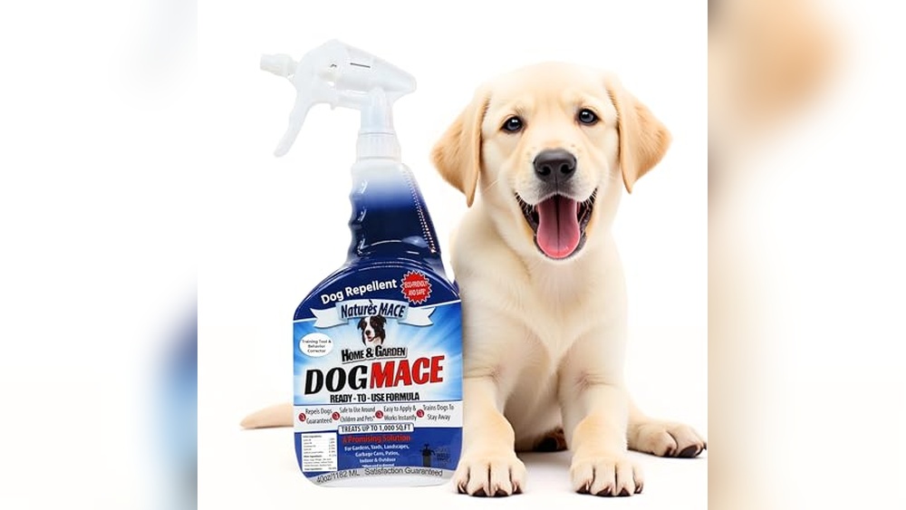 Best Lawn Care Service for Dogs