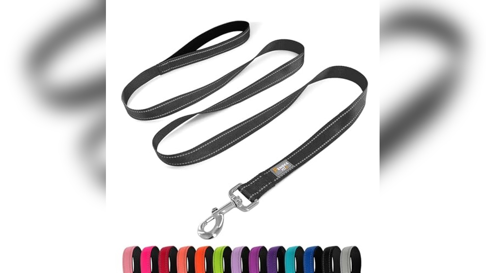 Best Leash for Small Dog