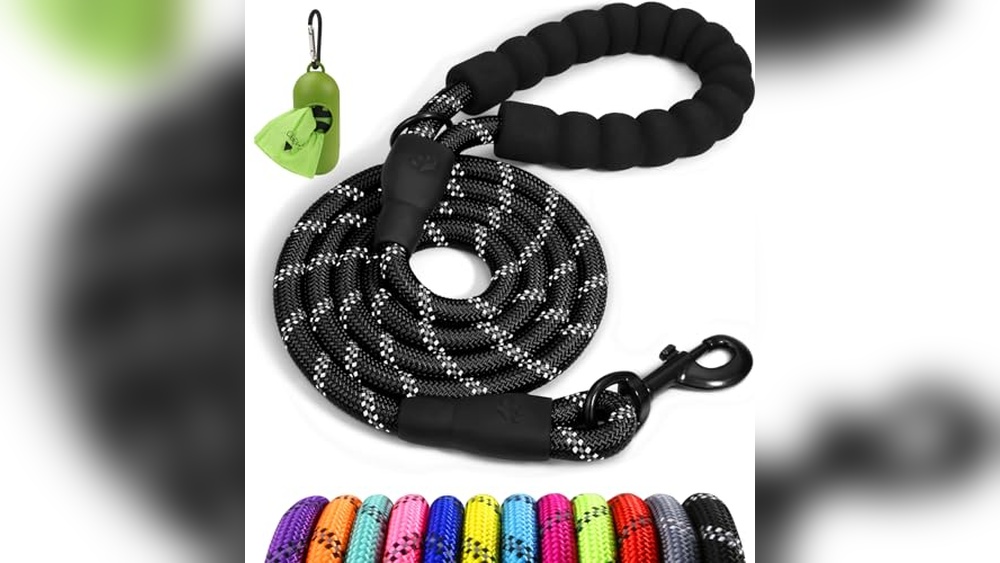 Best Leash for Strong Dogs