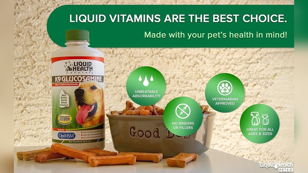 Best Liquid Food for Dogs