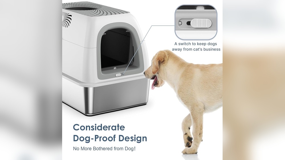 Best Litter Box Keep Dogs Out