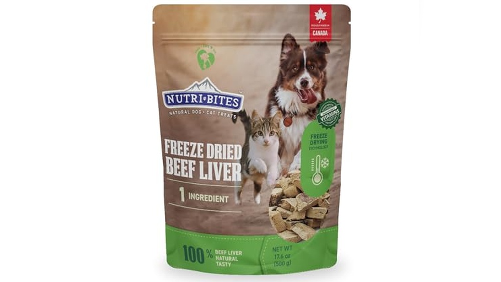 Best Liver Treats for Dogs