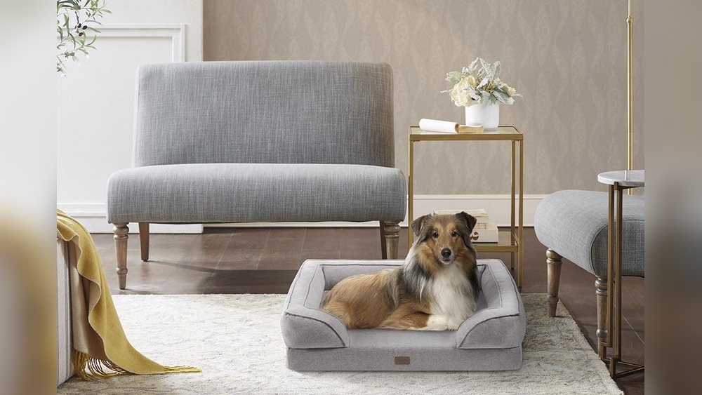 Best Living Room Furniture With Dogs