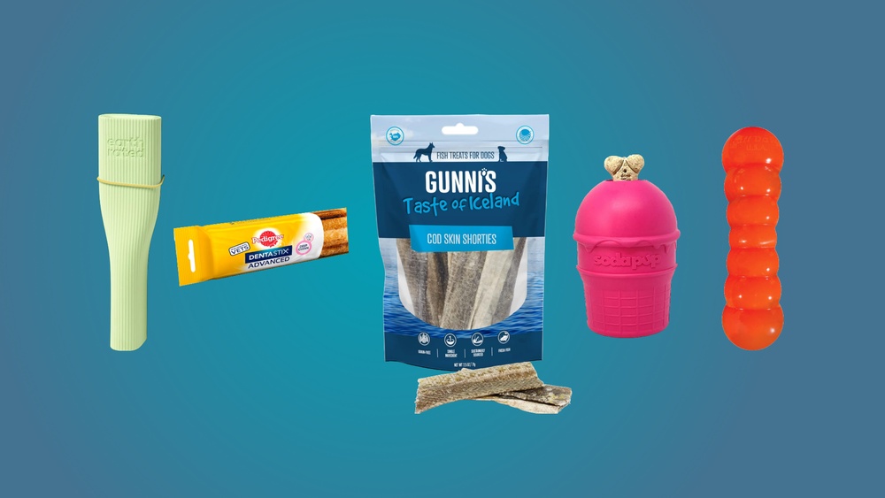 Best Long Lasting Chew for Dogs