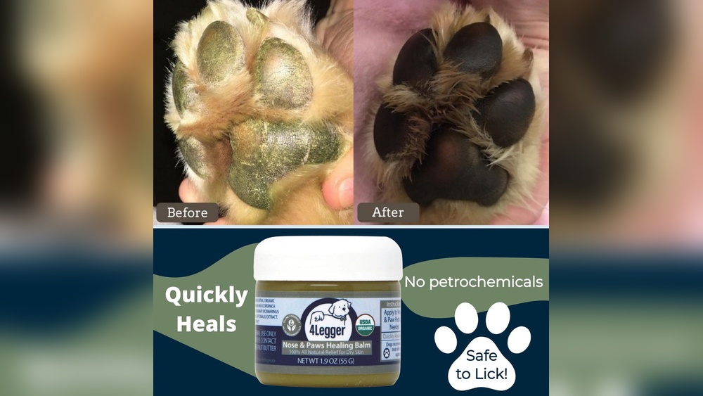 Best Lotion for Dog Paws