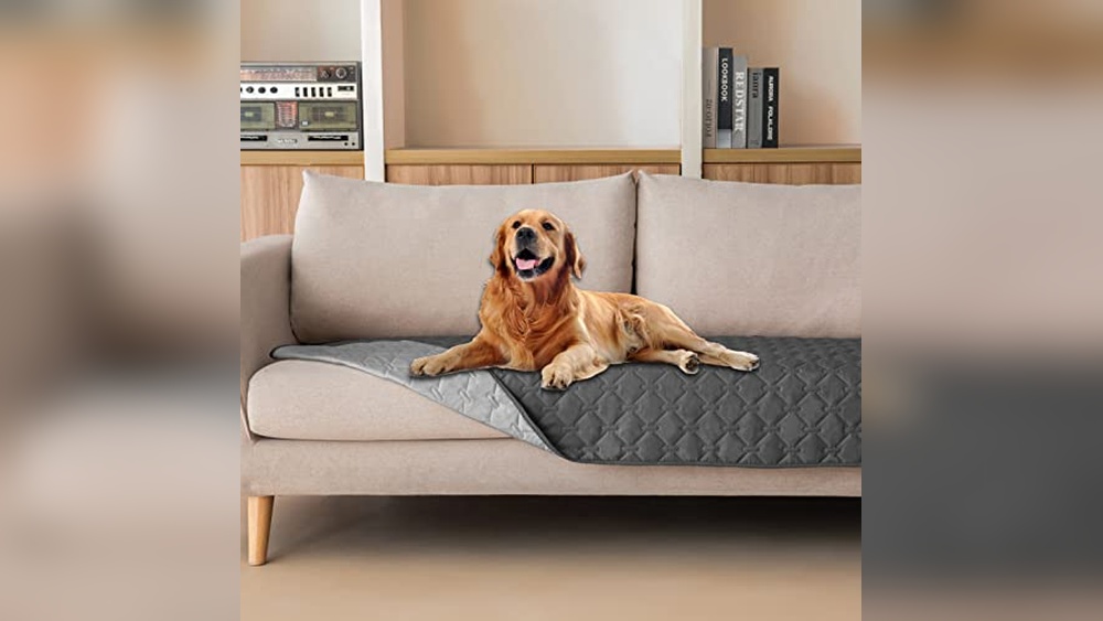 Best Lovesac Fabric for Dogs