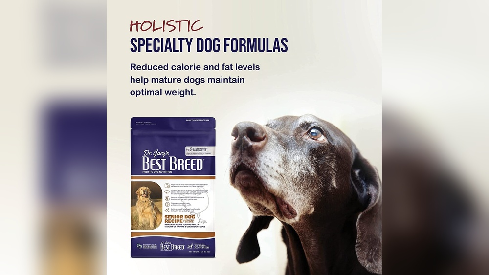 Best Low Fat Dog Food for Seniors