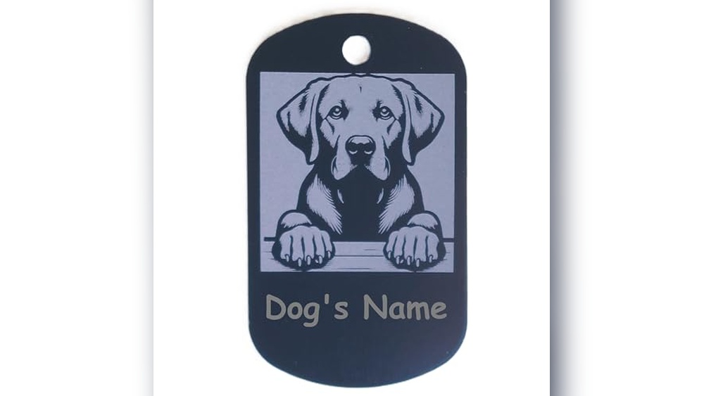 Best Male Lab Dog Names