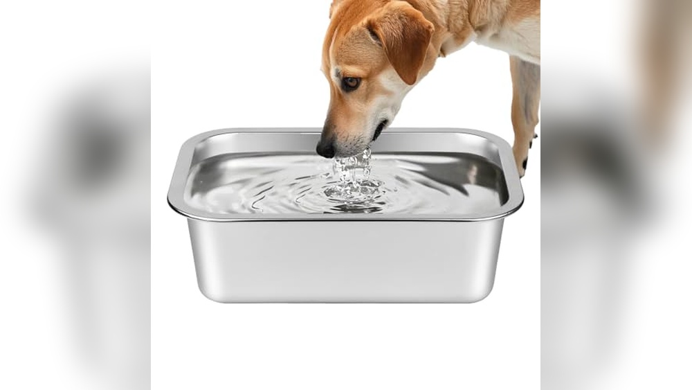 Best Material for Dog Water Bowl