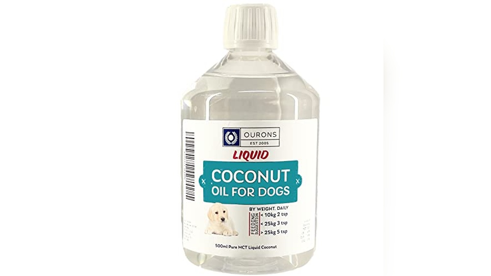 Best Mct Oil for Dogs With Epilepsy