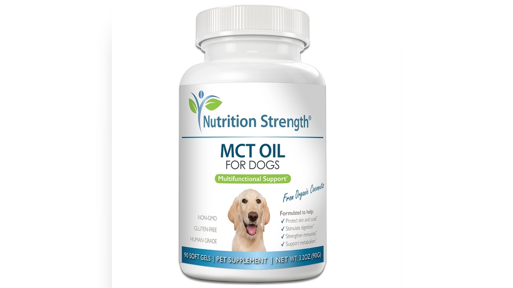 Best Mct Oil for Dogs With Epilepsy