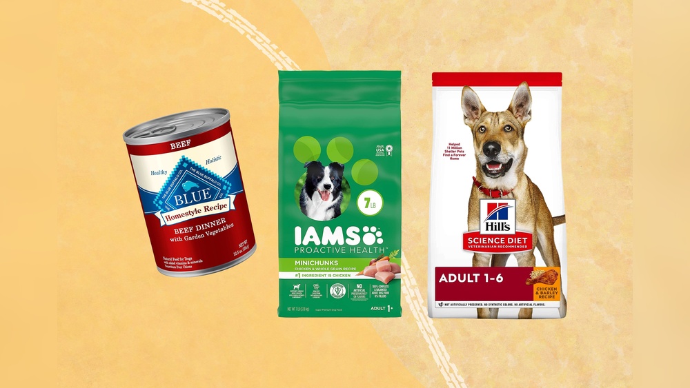 Best Meat-Rich Salmon Dry Dog Food Brands