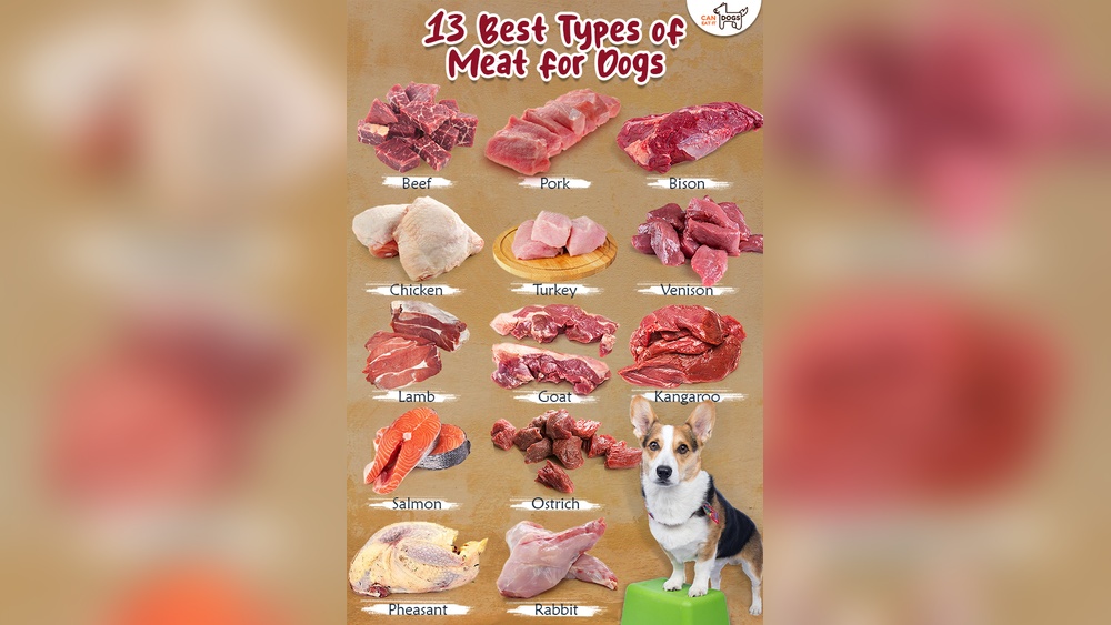 Best Meat to Give Dogs