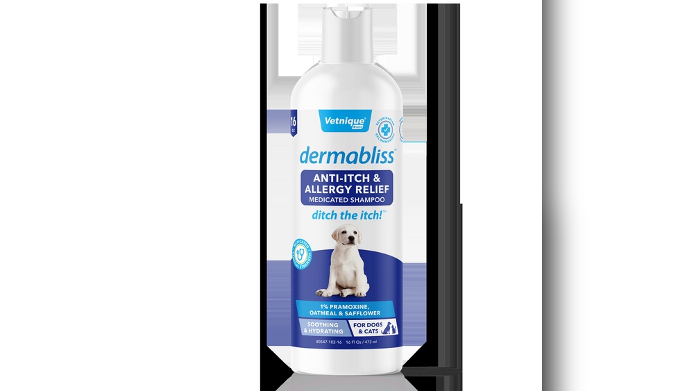 Best Medicated Anti Itch Dog Shampoo