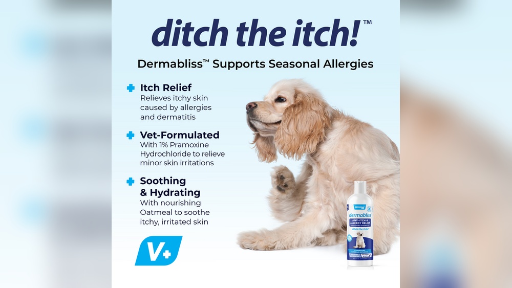 Best Medicated Dog Shampoo for Itchy Skin