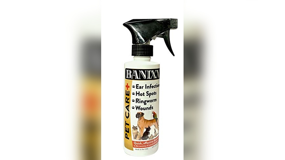Best Medicine for Dog Fungal Infection