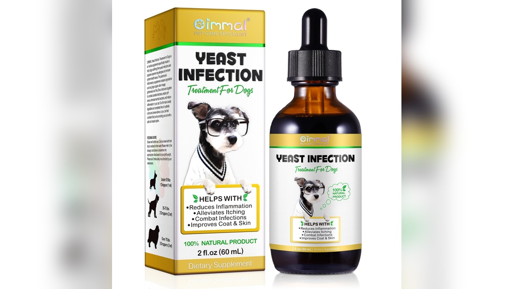 Best Medicine for Dog Fungal Infection