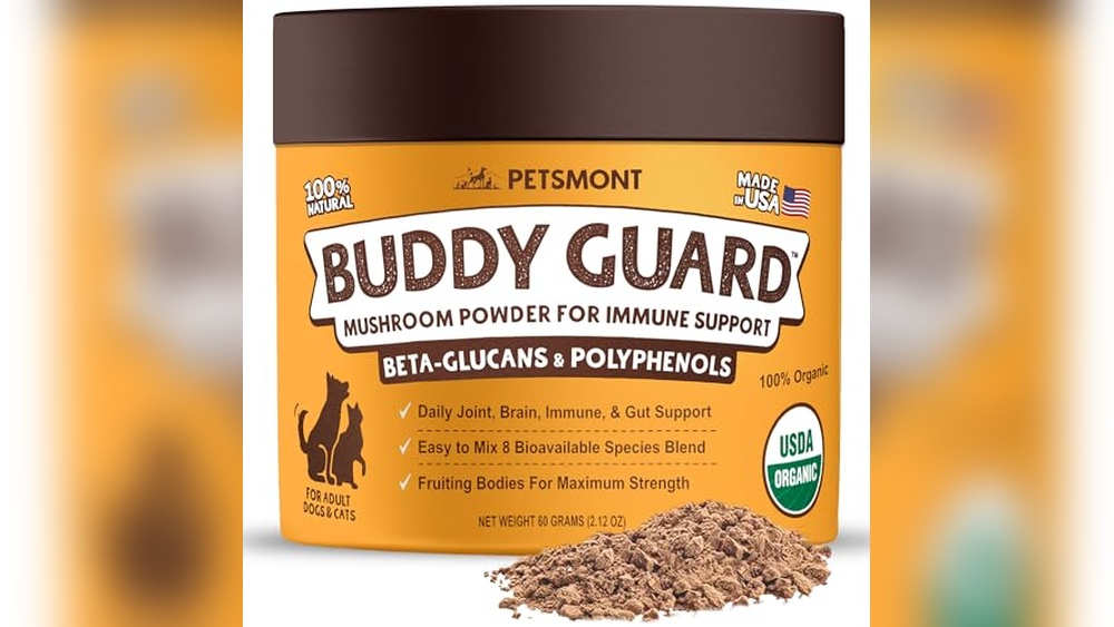Best Medium Size Guard Dog