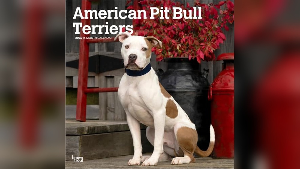 Best Medium-Sized Short-Haired Dogs