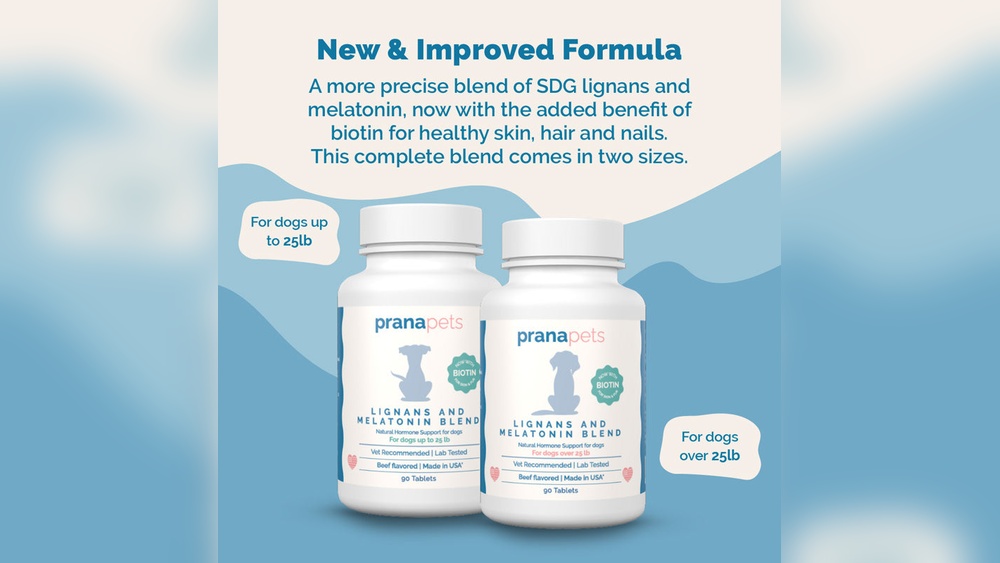 Best Melatonin for Senior Dogs
