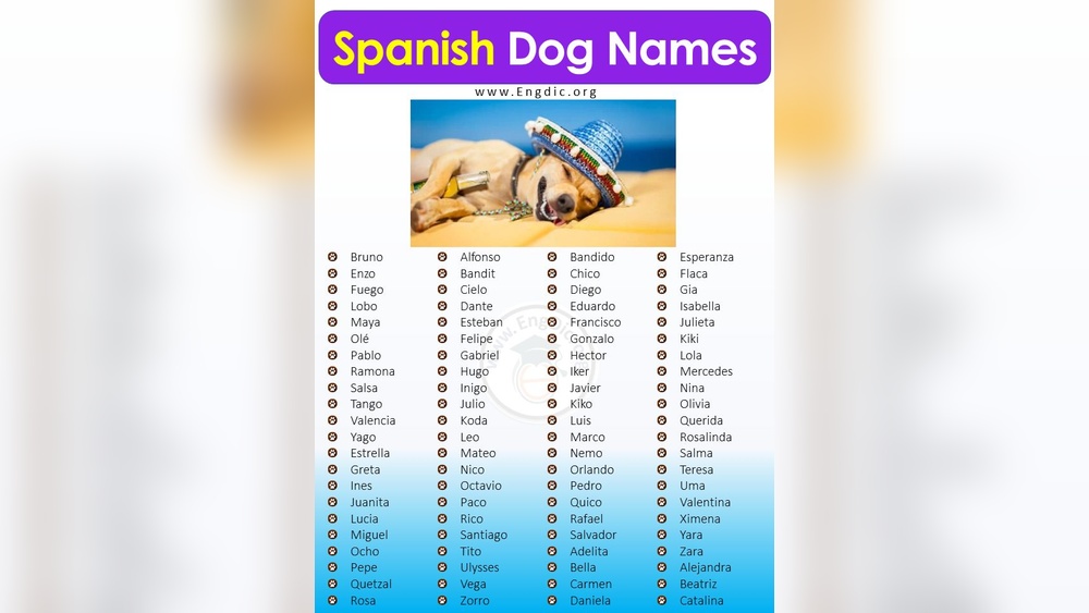 Best Mexican Names for Dogs