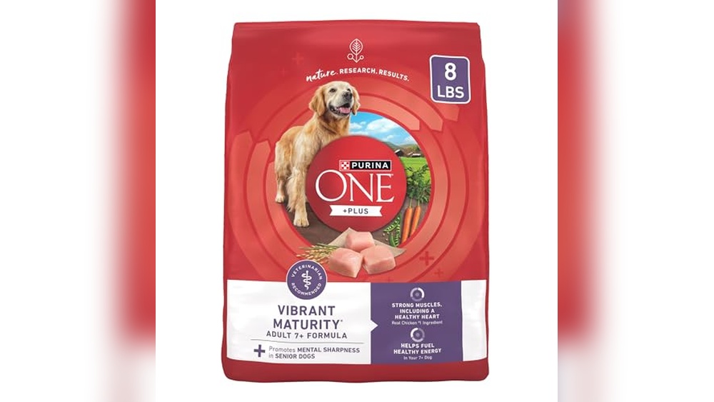 Best Mid Size Dog for Seniors