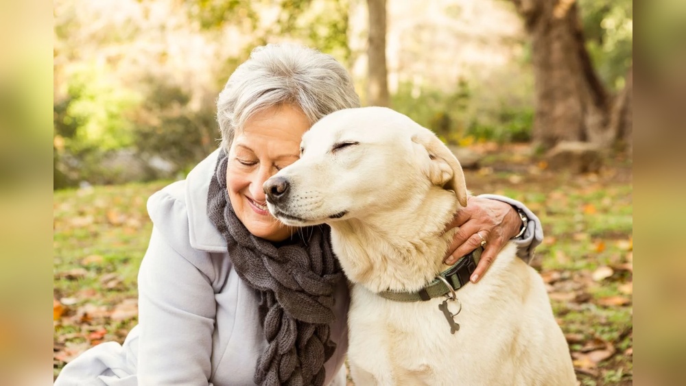 Best Mid Size Dogs for Seniors