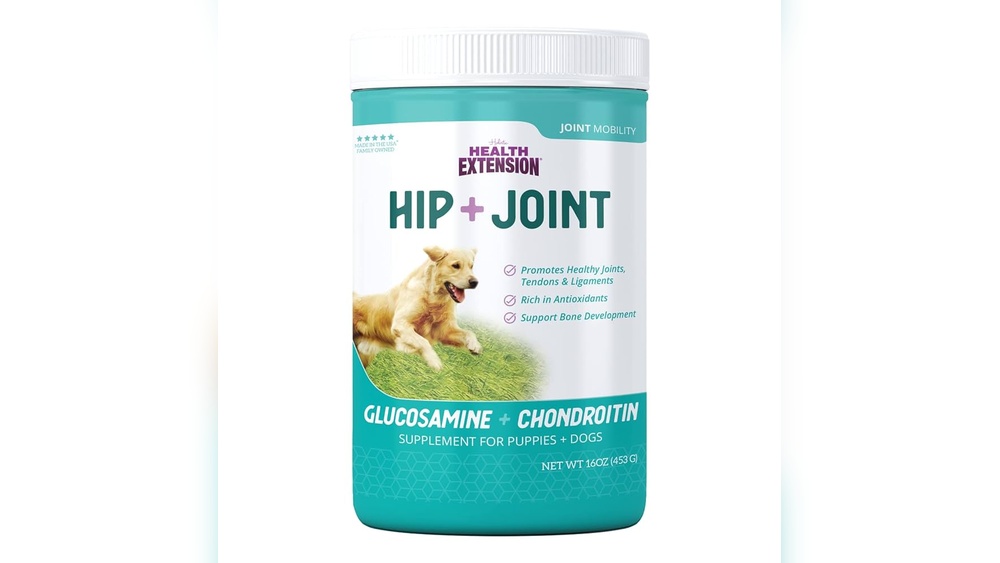 Best Mobility Supplement for Dogs