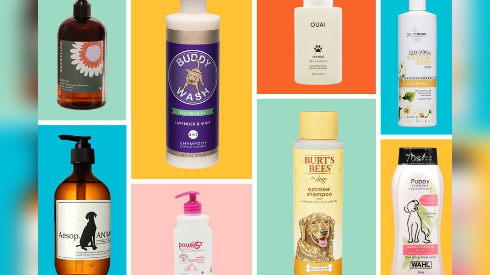 Best Moisturizing Dog Shampoo And Conditioner