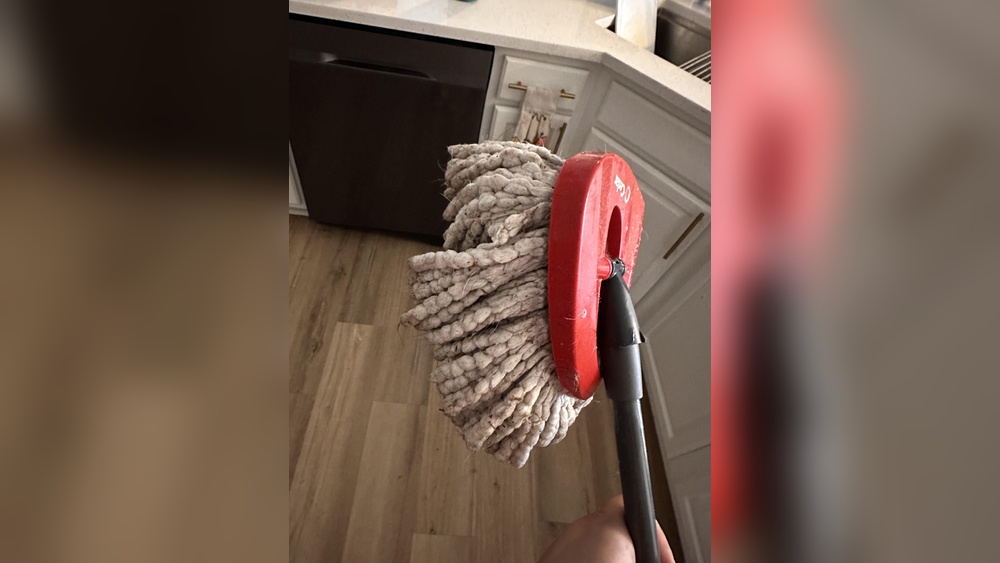 Best Mop for Dog Hair on Hardwood