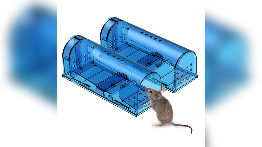 Best Mouse Traps With Dogs
