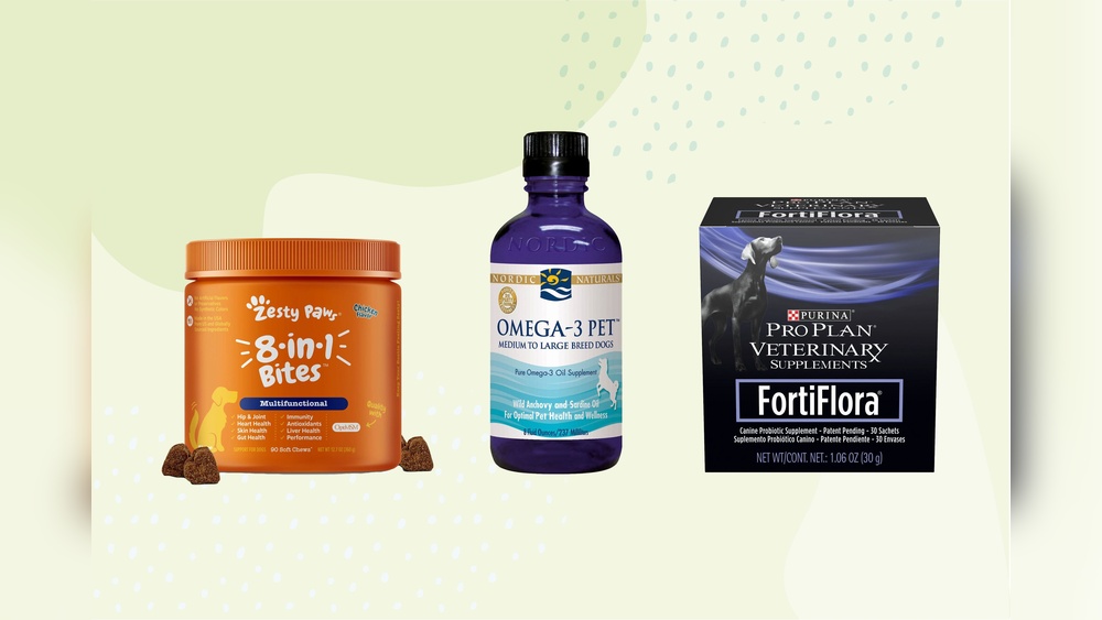 Best Multivitamin for Small Dogs