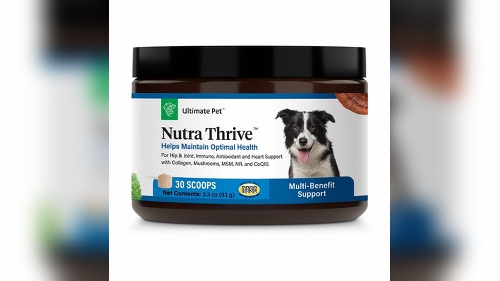 Best Multivitamin Powder for Dogs
