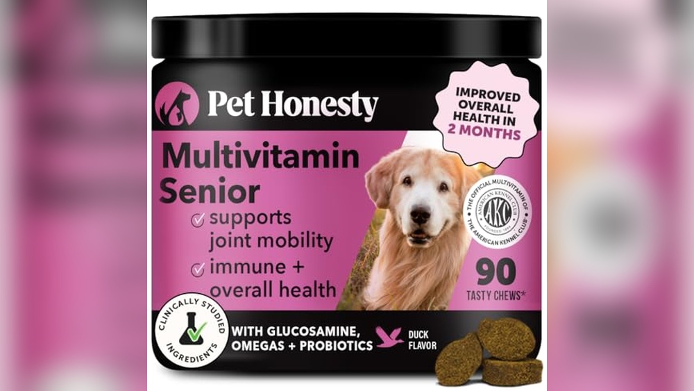 Best Multivitamins for Senior Dogs