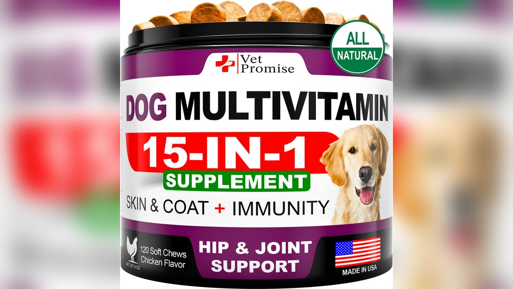 Best Multivitamins for Senior Dogs: Top Picks for Health & Vitality
