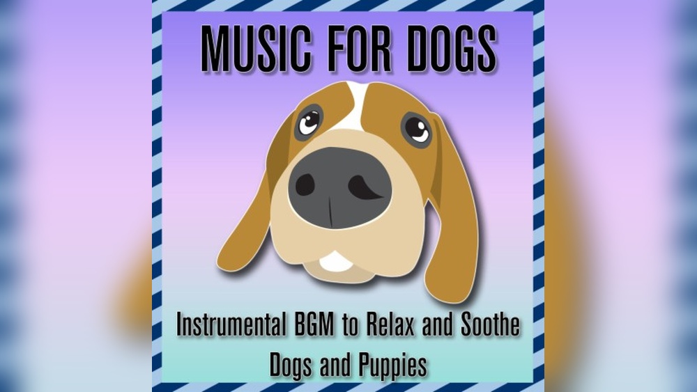 Best Music to Soothe Dogs