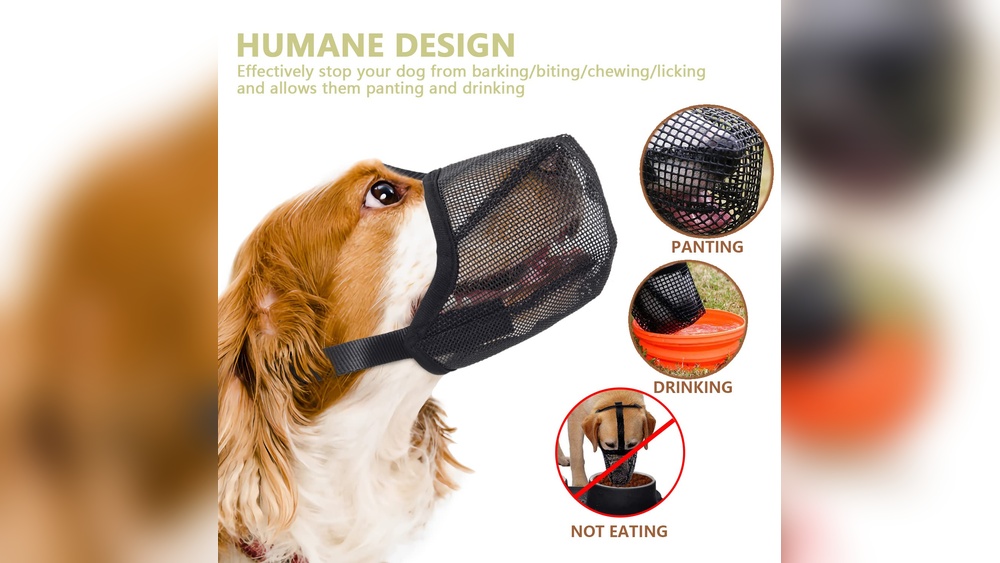 Best Muzzle for Dogs That Eat Everything