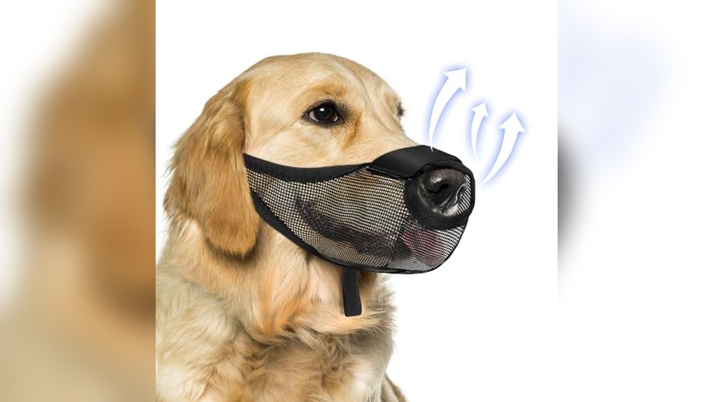Best Muzzle for Dogs That Eat Poop