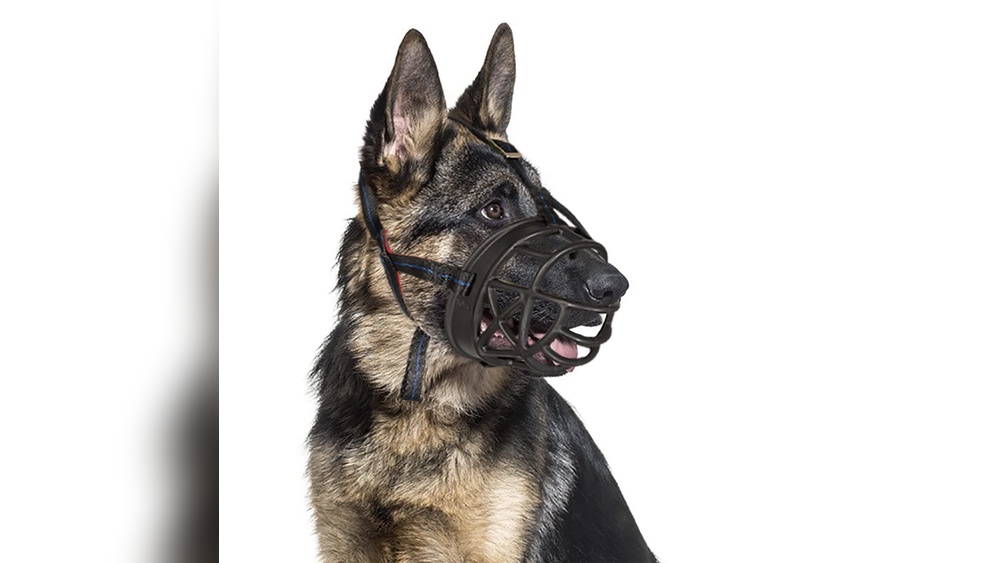 Best Muzzle for Large Dogs