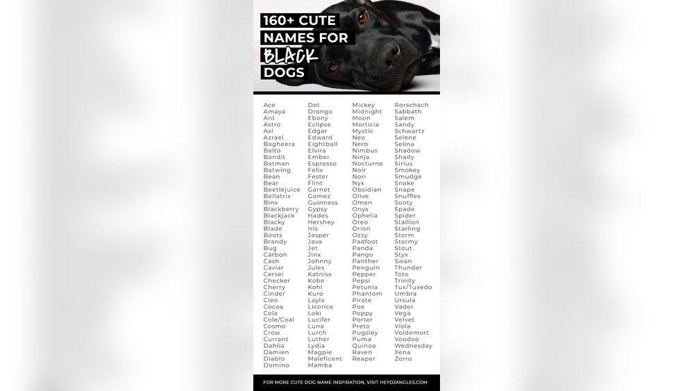 Best Name for Black Dog