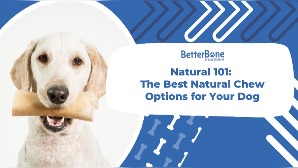 Best Natural Chew for Dogs